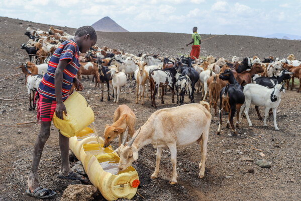 Pastoralist community activity